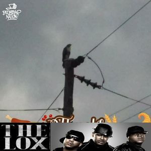 Meet your Posher, Damian